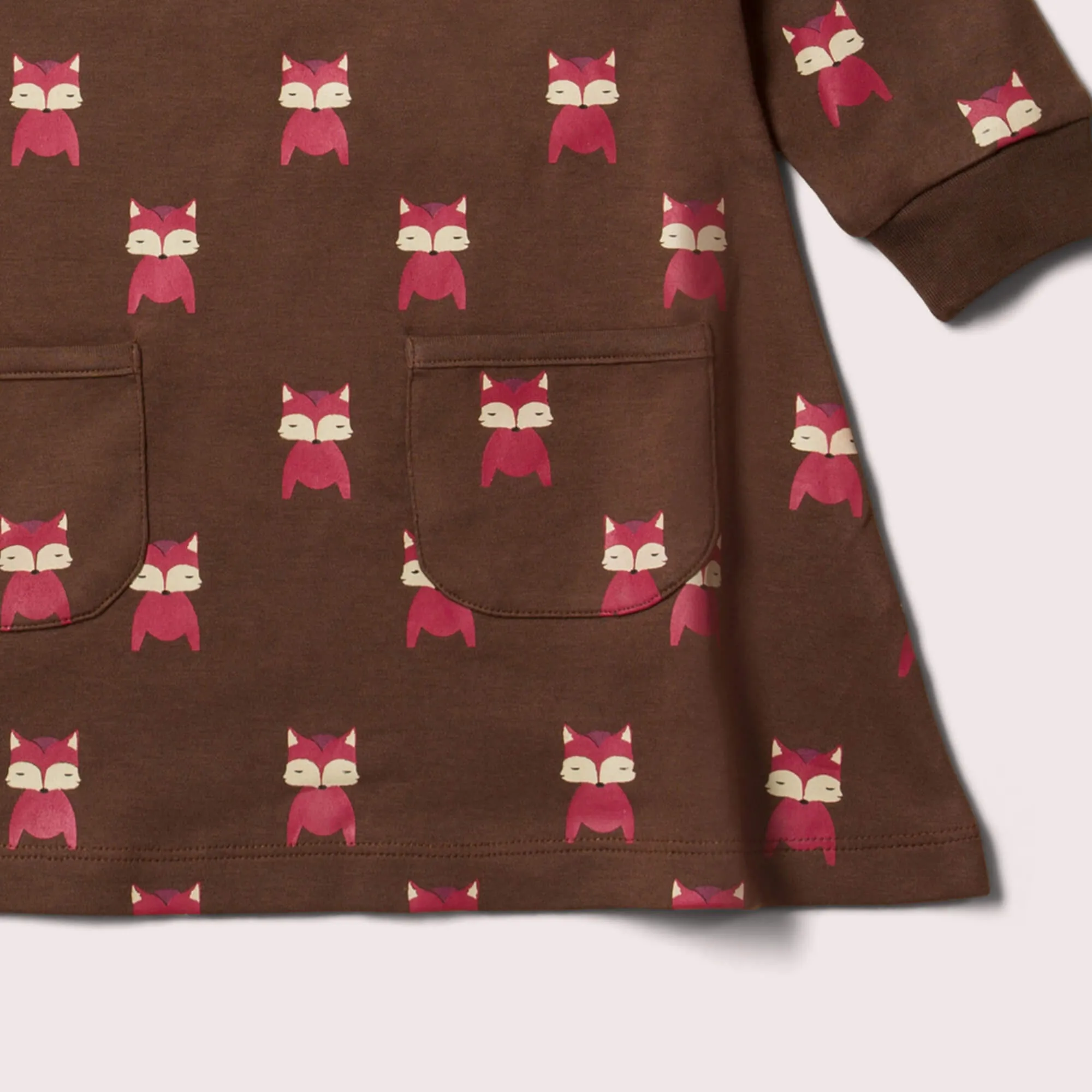 Autumn Foxes Raglan Sleeve Snuggle Pocket Dress
