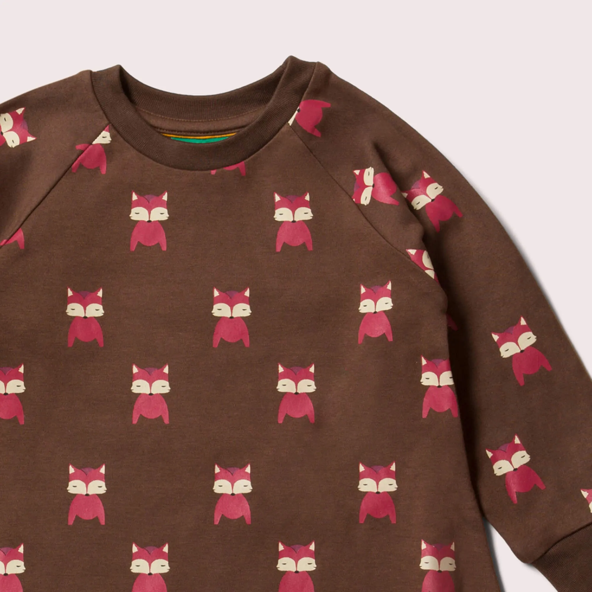 Autumn Foxes Raglan Sleeve Snuggle Pocket Dress
