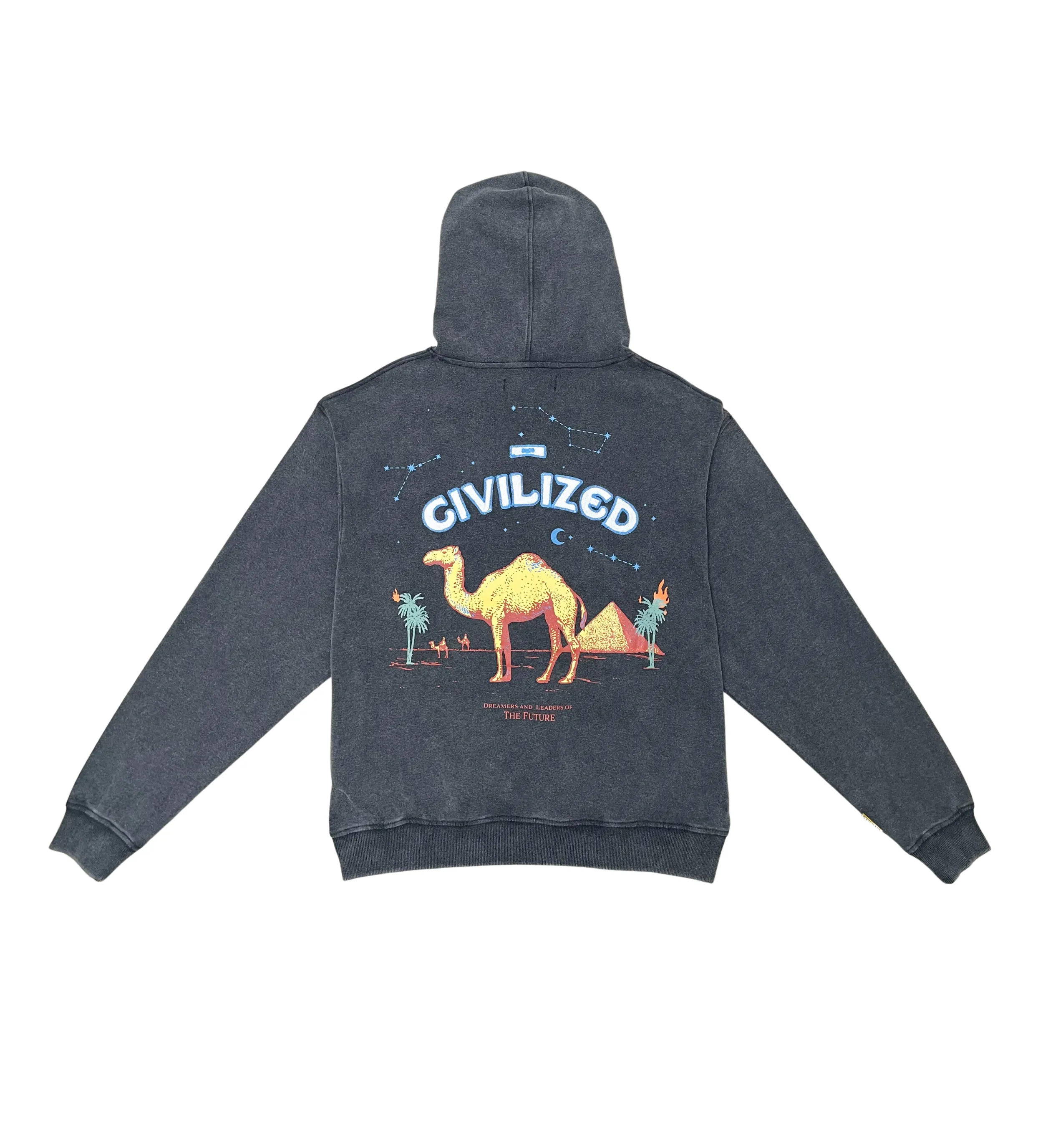 Camel Hoodie