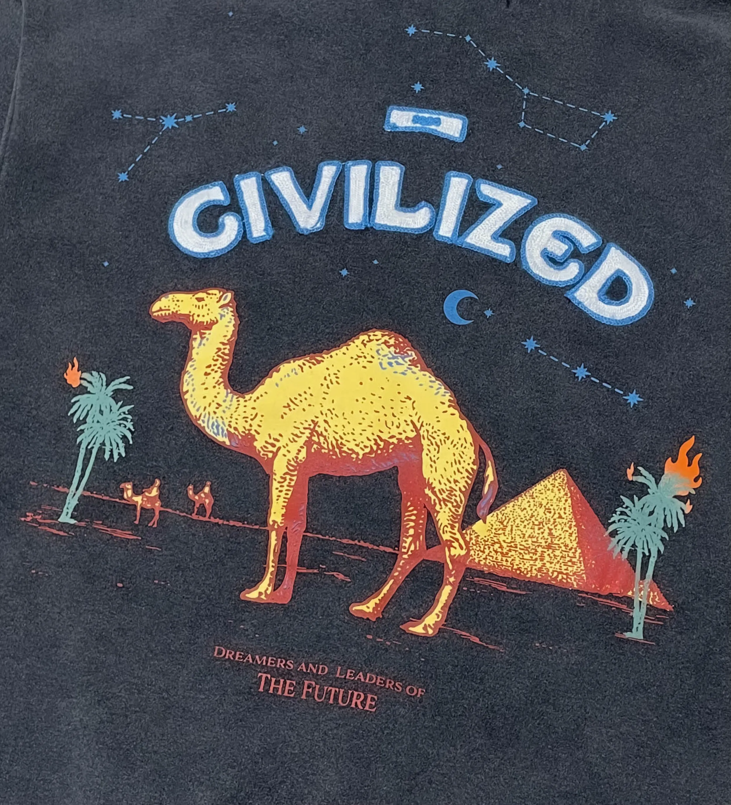 Camel Hoodie