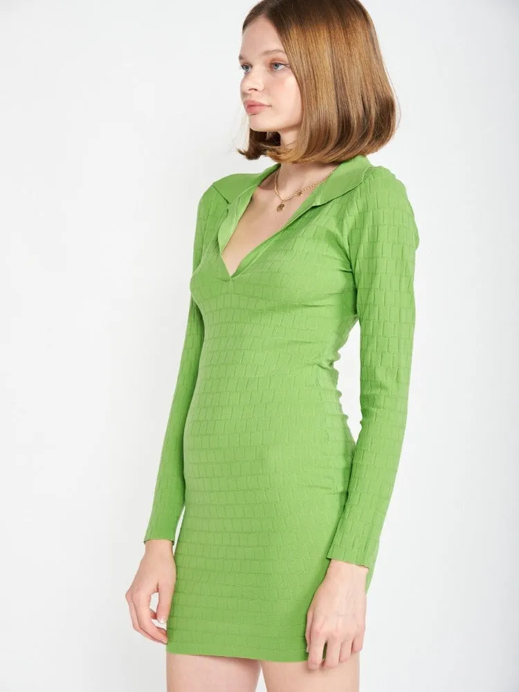 Chary Collared Mini Dress