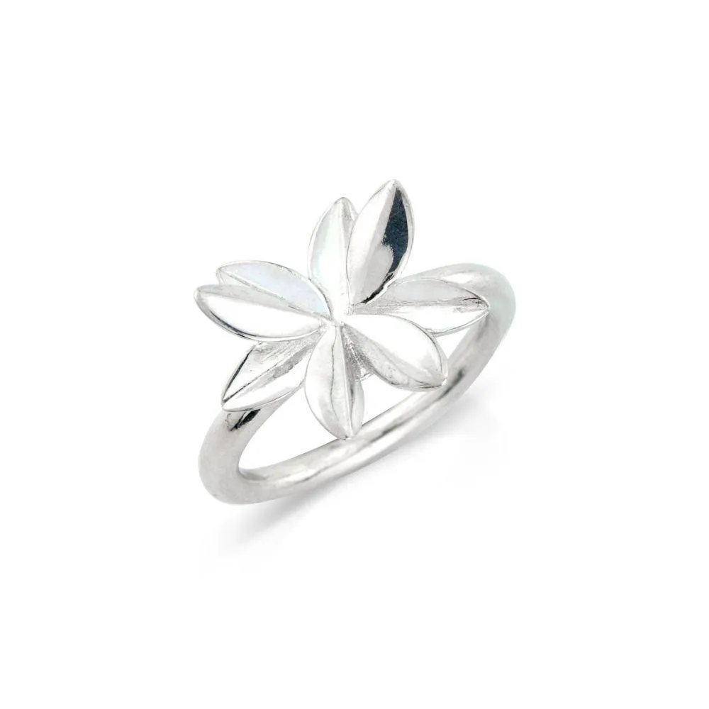 DÖGG ring