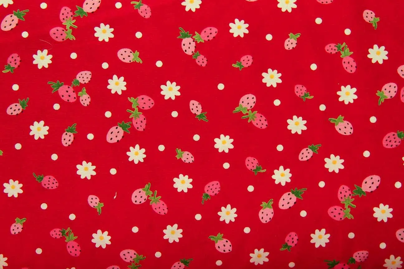 FB: Raining Berries Red Patchwork / Craft Fabric