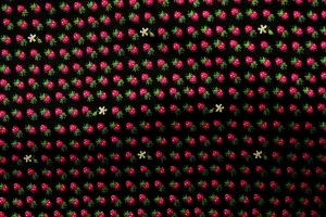 FB: Strawberry Sunflower Black Patchwork / Craft Fabric