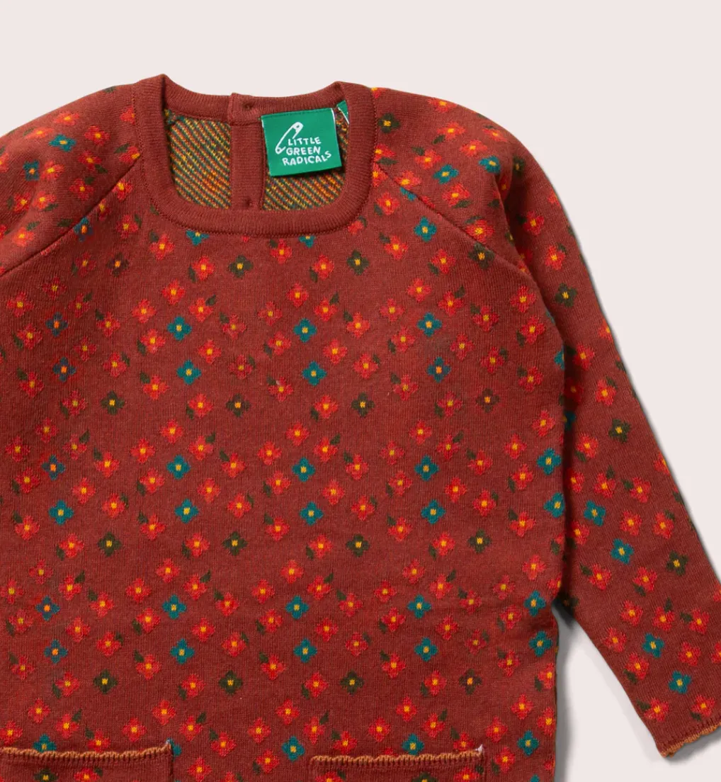 Little Green Radicals Hazelnut Flowers Sweater Dress