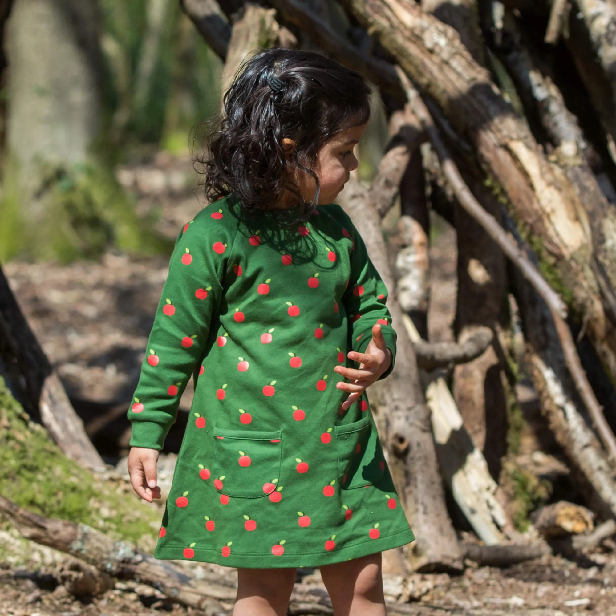 Red Apples Raglan Sleeve Snuggle Pocket Dress
