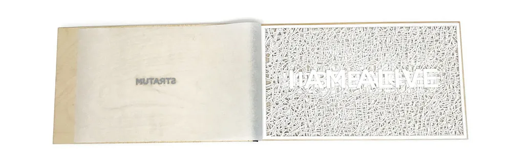 Stratum by Jihae Kwon - SOLD